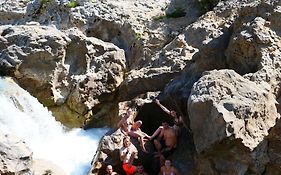 Friends Hostel & Tours